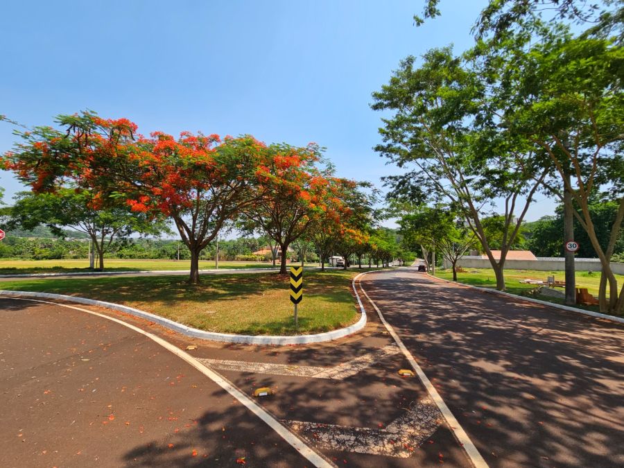 Terreno em Condomínio - Venda - Loteamento Santa Marta - Ribeirão Preto - SP