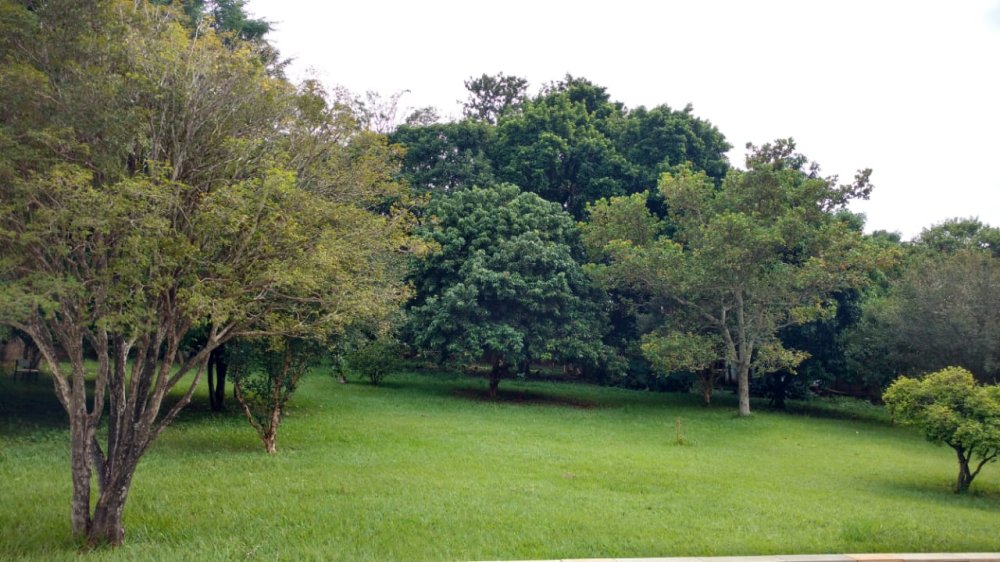 Chcara - Venda - Condomnio Quinta da Boa Vista - Ribeiro Preto - SP