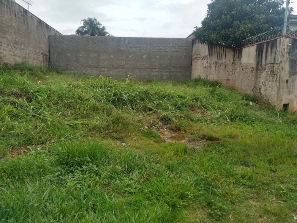 Terreno - Venda - Jardim Recreio - Ribeirão Preto - SP