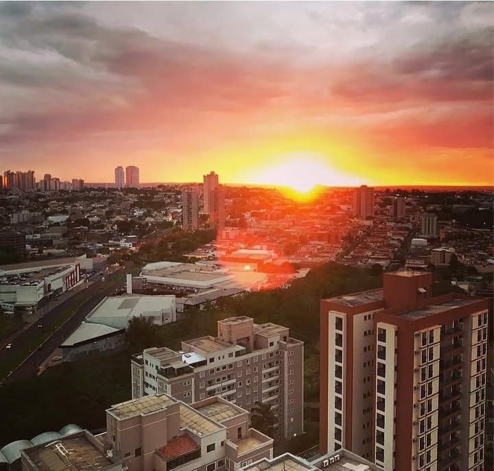 Apartamento - Venda - Jardim Palma Travassos - Ribeirão Preto - SP