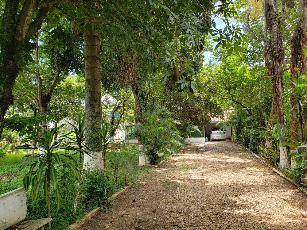 Chácara - Venda - Zona Rural - Serra Azul - SP
