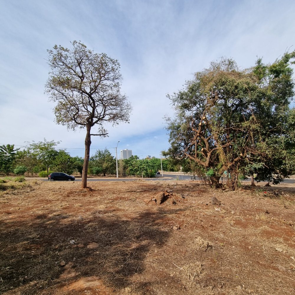 Terreno - Venda - Alto da Boa Vista - Ribeiro Preto - SP