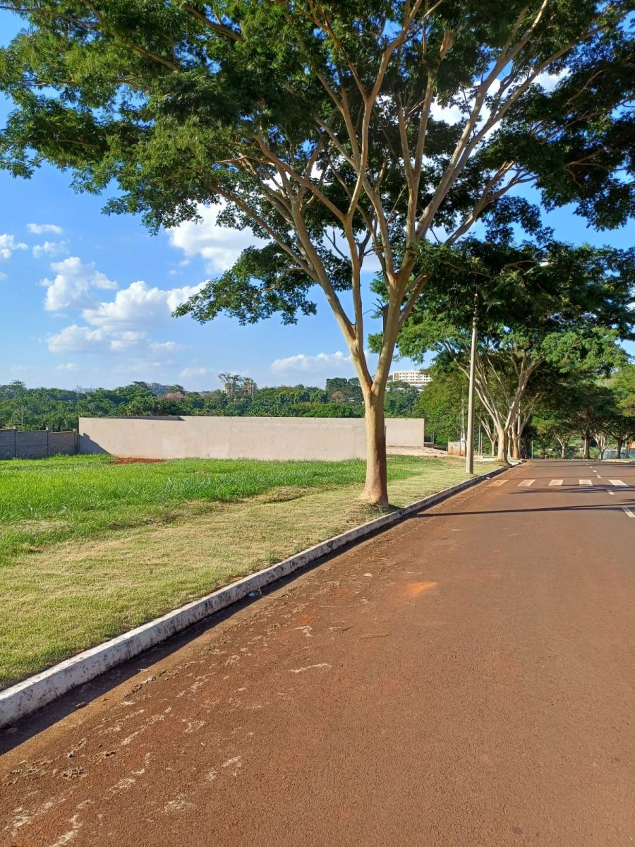 Terreno - Venda - Bonfim Paulista - Ribeir�o Preto - SP
