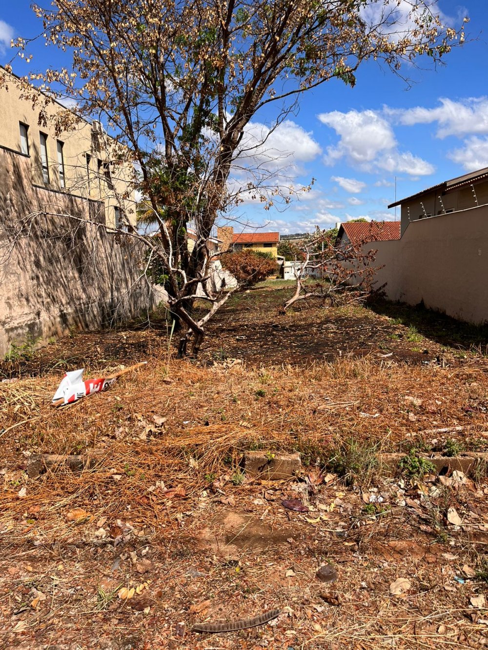 Terreno - Venda - Ribeirânia - Ribeirão Preto - SP