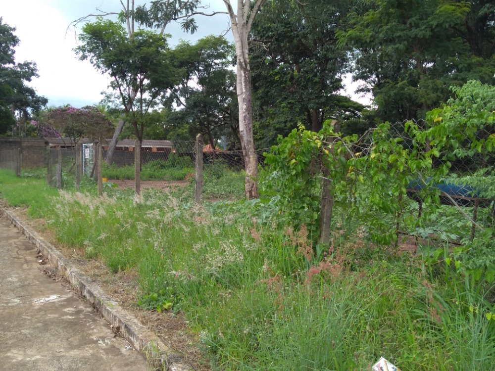 Terreno - Venda - Condomnio Portal dos Ips - Ribeiro Preto - SP