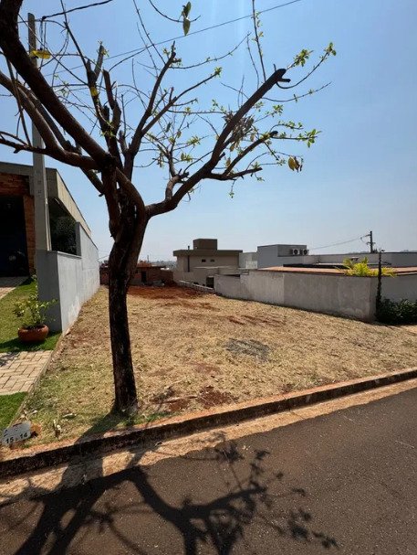 Terreno em Condomínio - Venda - Reserva San Pedro - Ribeirão Preto - SP