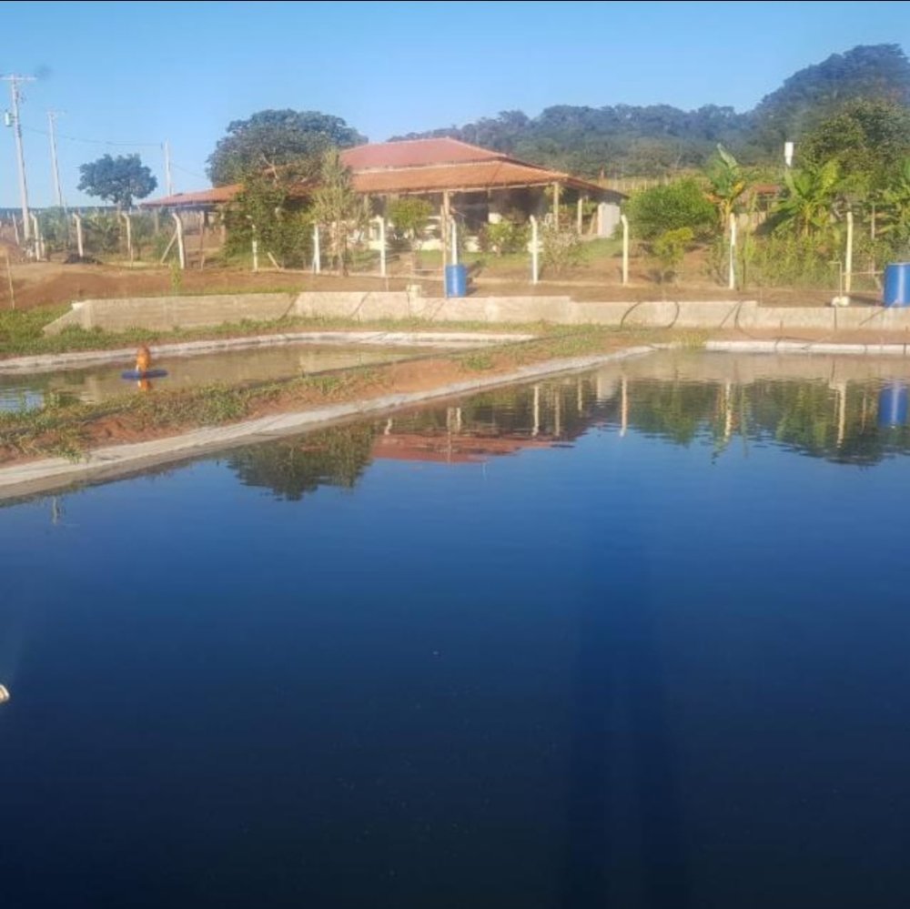 Chcara - Venda - Centro - Altinpolis - SP