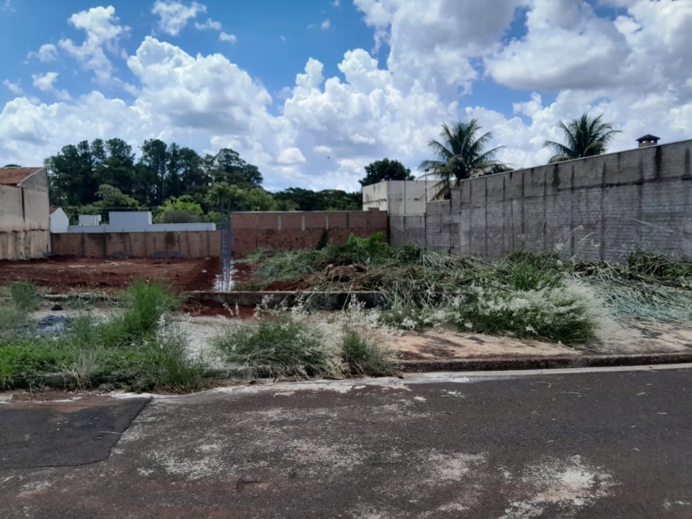 Terreno - Venda - Jardim Itaú - Ribeirão Preto - SP