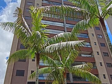 Apartamento no Jardim Olhos d'�gua
